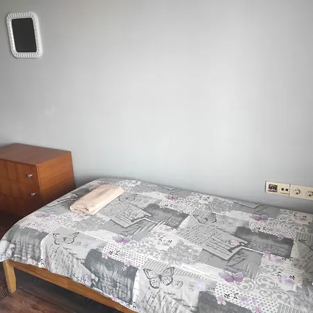 招待所 Panorama 2*